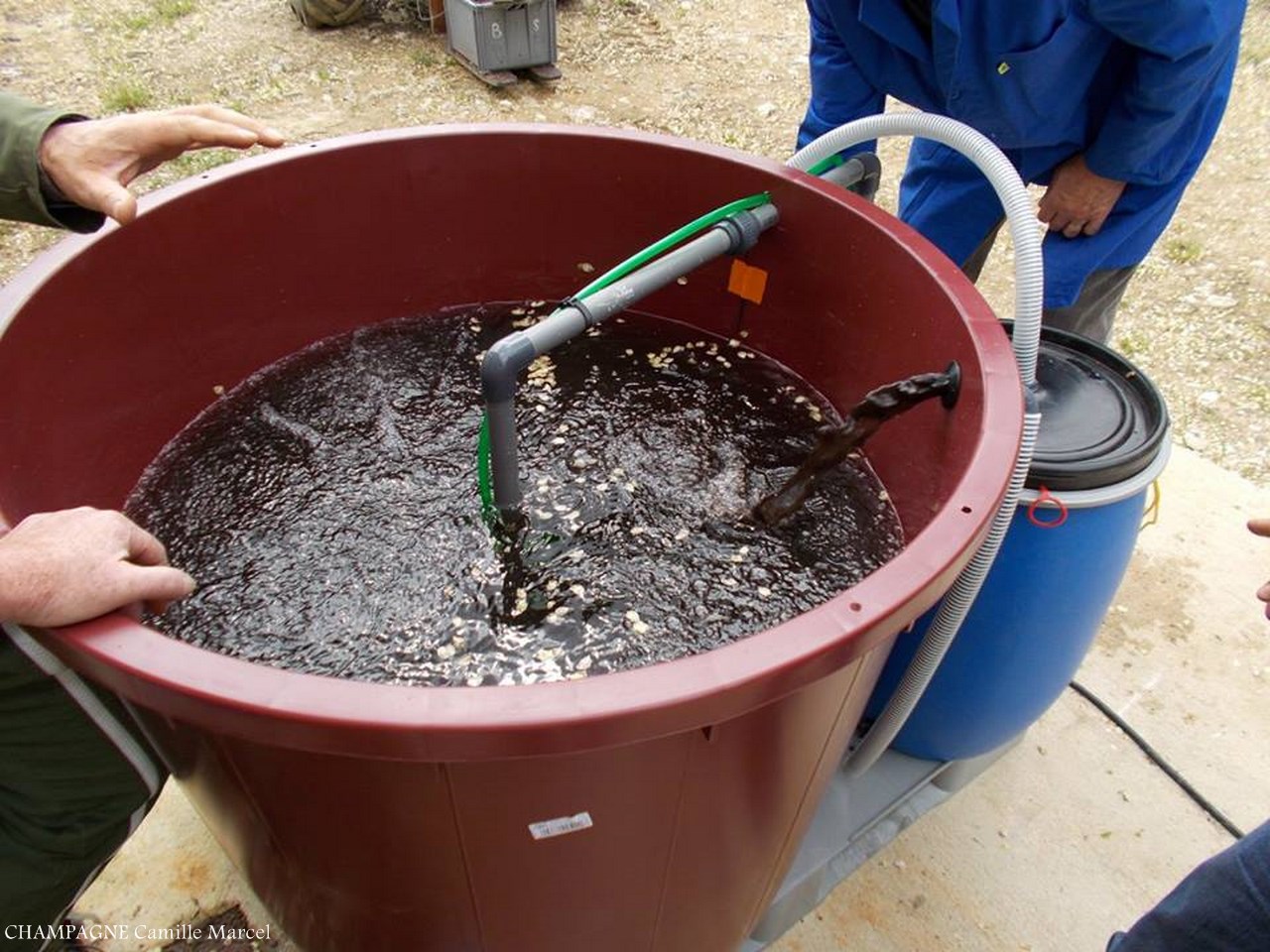 How to make compost tea